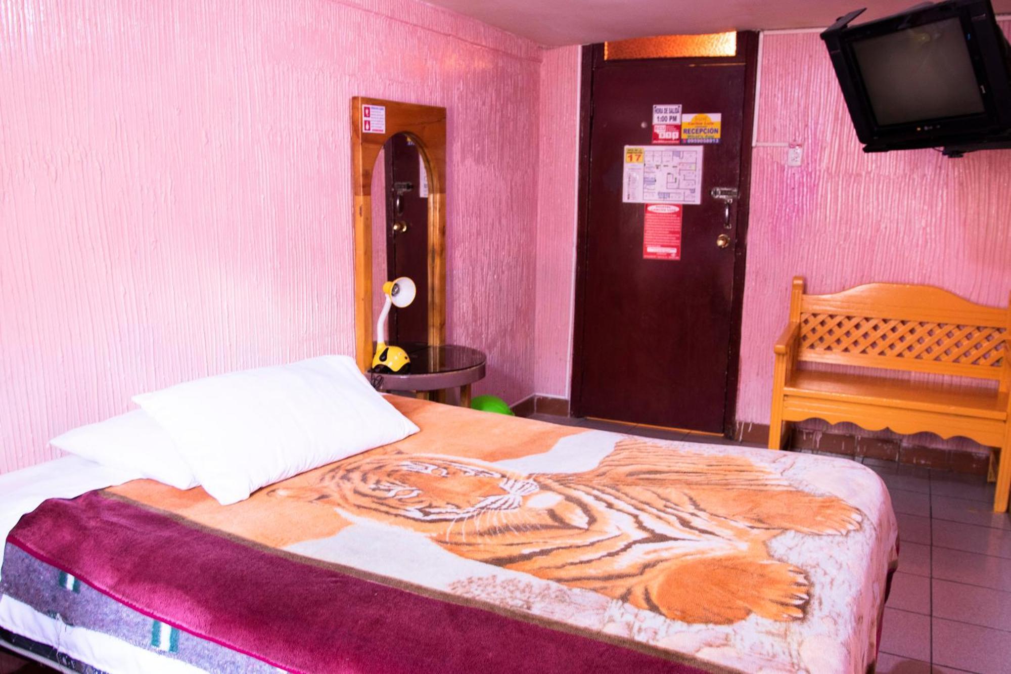 Hostal Carlos Luis كويتو المظهر الخارجي الصورة